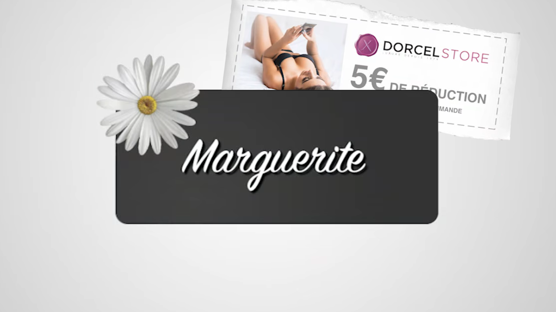 Irr&eacute;prochable